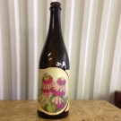 Jester King Vulgar Affectation